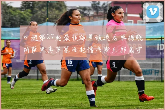 中超第27轮最佳球员候选名单揭晓纳萨里奥罗慕洛赵博韦斯利郭嘉宇争夺荣誉