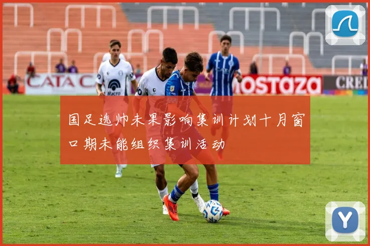 国足选帅未果影响集训计划十月窗口期未能组织集训活动
