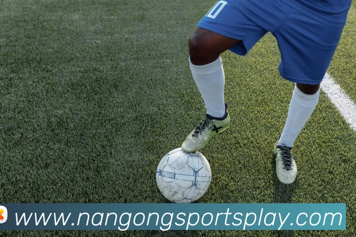 南宫体育平台生态图